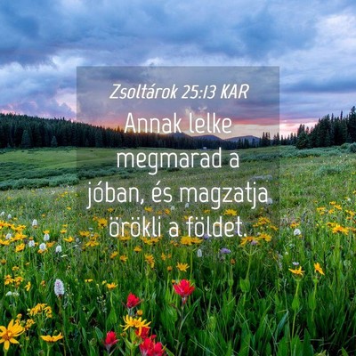 Picture 04 - Zsoltárok 25:13 KAR - Annak lelke megmarad a jóban, és magzatja - Bible Verse Picture
