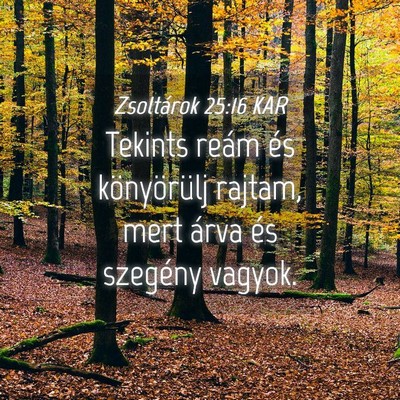 Picture 04 - Zsoltárok 25:16 KAR - Tekints reám és könyörülj rajtam, mert árva - Bible Verse Picture