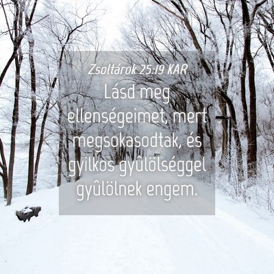Picture 04 - Zsoltárok 25:19 KAR - Lásd meg ellenségeimet, mert megsokasodtak, és - Bible Verse Picture