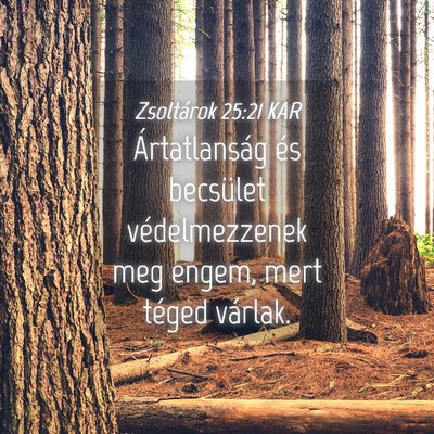 Picture 04 - Zsoltárok 25:21 KAR - Ártatlanság és becsület védelmezzenek meg - Bible Verse Picture