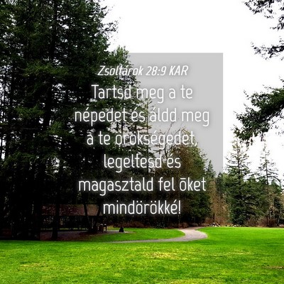 Picture 04 - Zsoltárok 28:9 KAR - Tartsd meg a te népedet és áldd meg a te - Bible Verse Picture