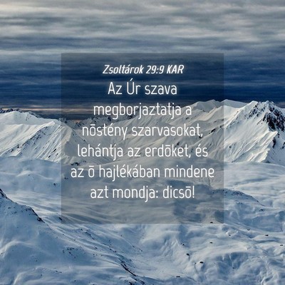 Picture 04 - Zsoltárok 29:9 KAR - Az Úr szava megborjaztatja a nõstény - Bible Verse Picture