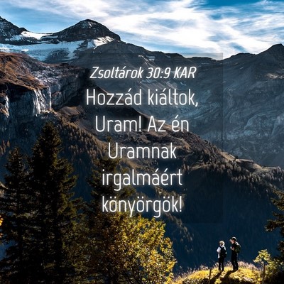 Picture 04 - Zsoltárok 30:9 KAR - Hozzád kiáltok, Uram! Az én Uramnak - Bible Verse Picture