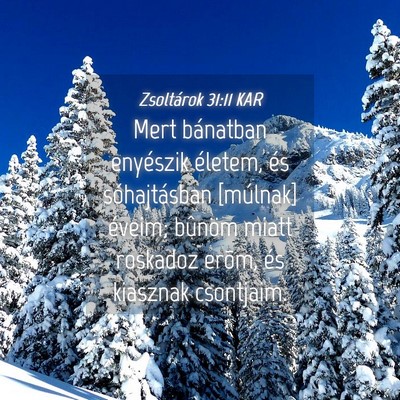 Picture 04 - Zsoltárok 31:11 KAR - Mert bánatban enyészik életem, és - Bible Verse Picture