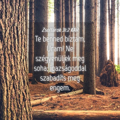 Picture 04 - Zsoltárok 31:2 KAR - Te benned bíztam, Uram! Ne szégyenüljek meg - Bible Verse Picture