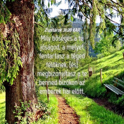 Picture 04 - Zsoltárok 31:20 KAR - Mily bõséges a te jóságod, a melyet - Bible Verse Picture