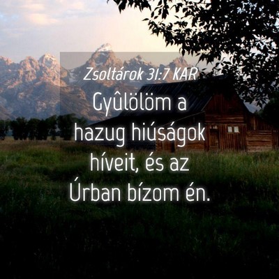 Picture 04 - Zsoltárok 31:7 KAR - Gyûlölöm a hazug hiúságok híveit, és az - Bible Verse Picture