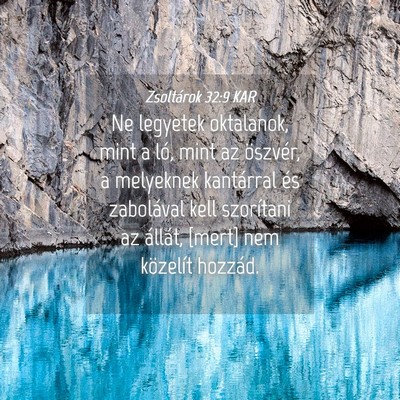 Picture 04 - Zsoltárok 32:9 KAR - Ne legyetek oktalanok, mint a ló, mint az - Bible Verse Picture
