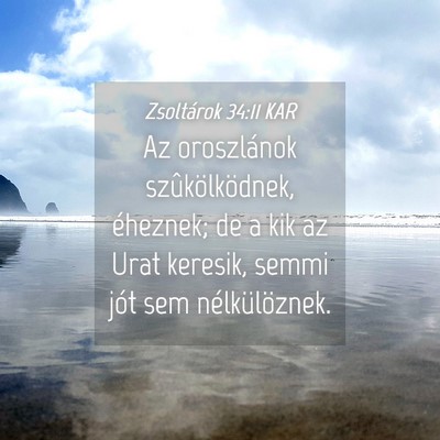 Picture 04 - Zsoltárok 34:11 KAR - Az oroszlánok szûkölködnek, éheznek; de a - Bible Verse Picture