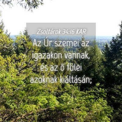 Picture 04 - Zsoltárok 34:16 KAR - Az Úr szemei az igazakon vannak, és az õ - Bible Verse Picture