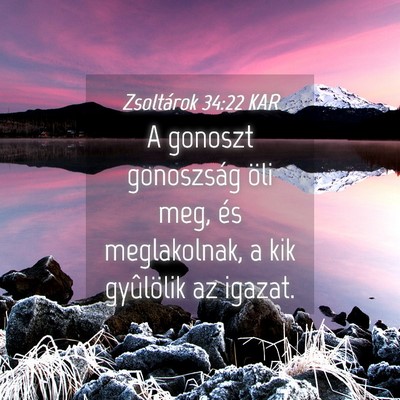 Picture 04 - Zsoltárok 34:22 KAR - A gonoszt gonoszság öli meg, és meglakolnak, a - Bible Verse Picture