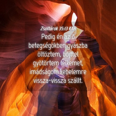 Picture 04 - Zsoltárok 35:13 KAR - Pedig én az õ betegségökben gyászba - Bible Verse Picture