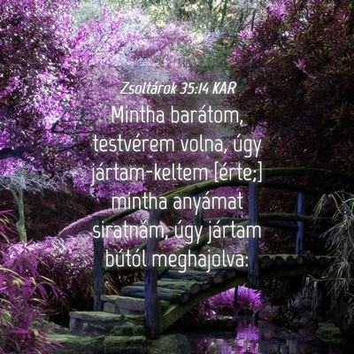 Picture 04 - Zsoltárok 35:14 KAR - Mintha barátom, testvérem volna, úgy - Bible Verse Picture