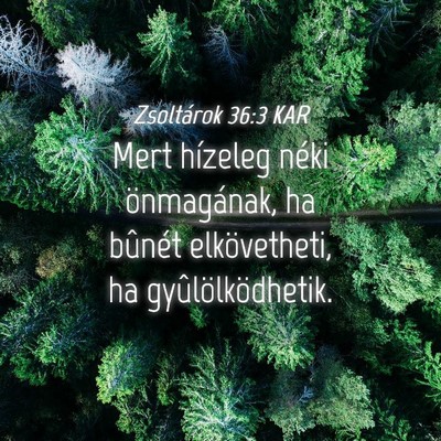 Picture 04 - Zsoltárok 36:3 KAR - Mert hízeleg néki önmagának, ha bûnét - Bible Verse Picture