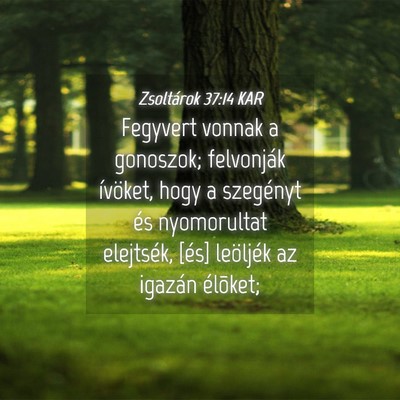 Picture 04 - Zsoltárok 37:14 KAR - Fegyvert vonnak a gonoszok; felvonják ívöket, - Bible Verse Picture