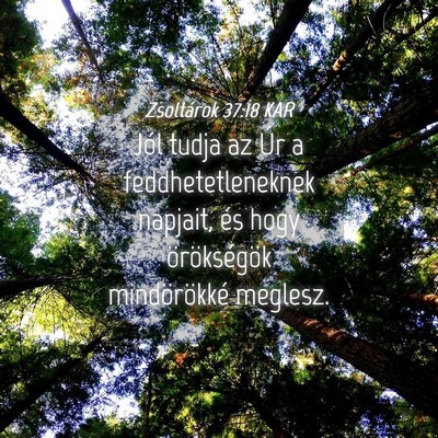 Picture 04 - Zsoltárok 37:18 KAR - Jól tudja az Úr a feddhetetleneknek napjait, - Bible Verse Picture