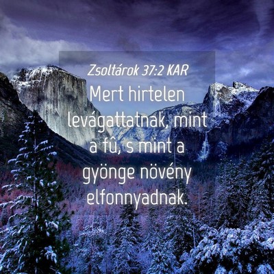 Picture 04 - Zsoltárok 37:2 KAR - Mert hirtelen levágattatnak, mint a fû, s mint - Bible Verse Picture