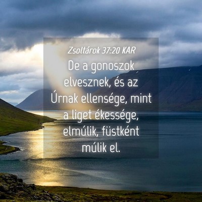 Picture 04 - Zsoltárok 37:20 KAR - De a gonoszok elvesznek, és az Úrnak - Bible Verse Picture