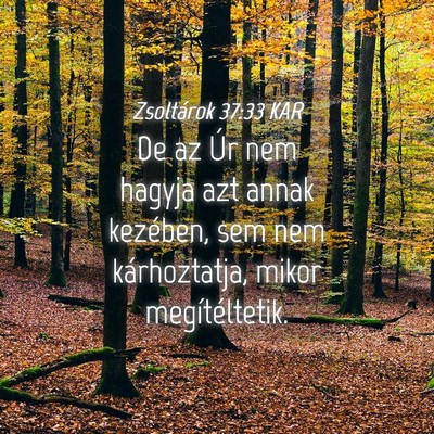 Picture 04 - Zsoltárok 37:33 KAR - De az Úr nem hagyja azt annak kezében, sem nem - Bible Verse Picture