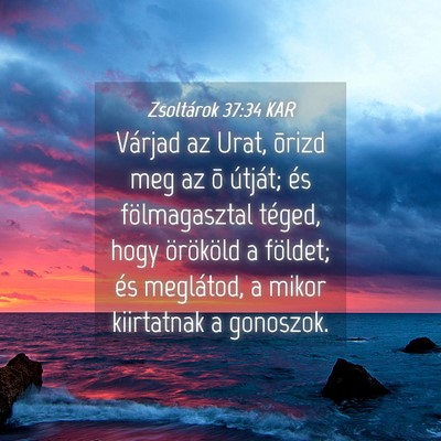 Picture 04 - Zsoltárok 37:34 KAR - Várjad az Urat, õrizd meg az õ útját; és - Bible Verse Picture