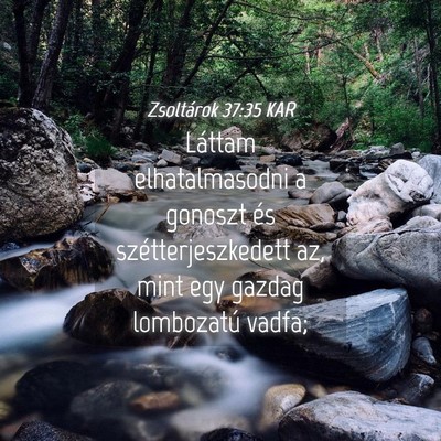 Picture 04 - Zsoltárok 37:35 KAR - Láttam elhatalmasodni a gonoszt és - Bible Verse Picture