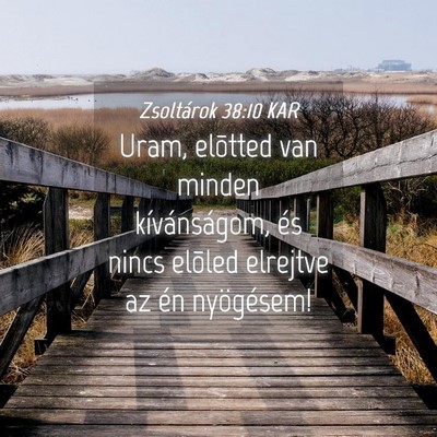 Picture 04 - Zsoltárok 38:10 KAR - Uram, elõtted van minden kívánságom, és - Bible Verse Picture
