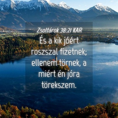 Picture 04 - Zsoltárok 38:21 KAR - És a kik jóért roszszal fizetnek; ellenem - Bible Verse Picture