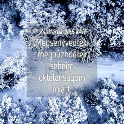 Picture 04 - Zsoltárok 38:6 KAR - Megsenyvedtek, megbûzhödtek sebeim - Bible Verse Picture