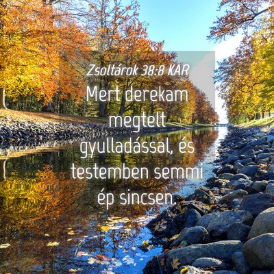 Picture 04 - Zsoltárok 38:8 KAR - Mert derekam megtelt gyulladással, és testemben - Bible Verse Picture