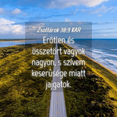 Picture 04 - Zsoltárok 38:9 KAR - Erõtlen és összetört vagyok nagyon, s szívem - Bible Verse Picture