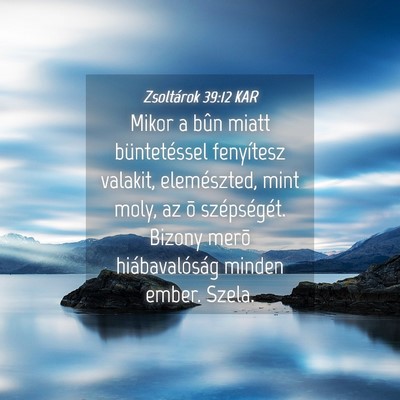 Picture 04 - Zsoltárok 39:12 KAR - Mikor a bûn miatt büntetéssel fenyítesz - Bible Verse Picture