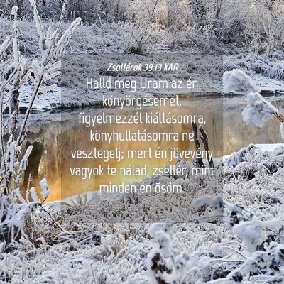 Picture 04 - Zsoltárok 39:13 KAR - Halld meg Uram az én könyörgésemet, - Bible Verse Picture