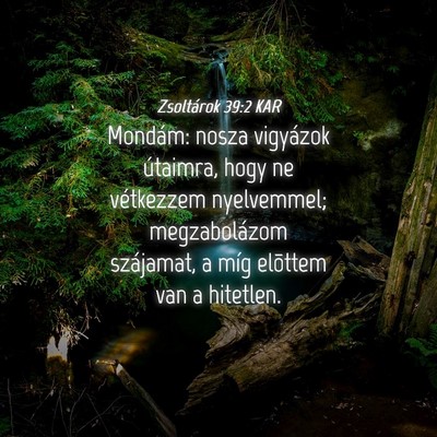 Picture 04 - Zsoltárok 39:2 KAR - Mondám: nosza vigyázok útaimra, hogy ne - Bible Verse Picture