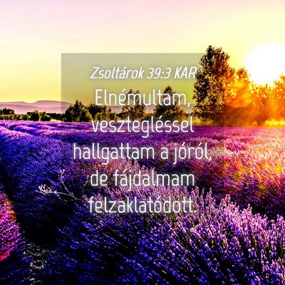 Picture 04 - Zsoltárok 39:3 KAR - Elnémultam, vesztegléssel hallgattam a jóról, - Bible Verse Picture