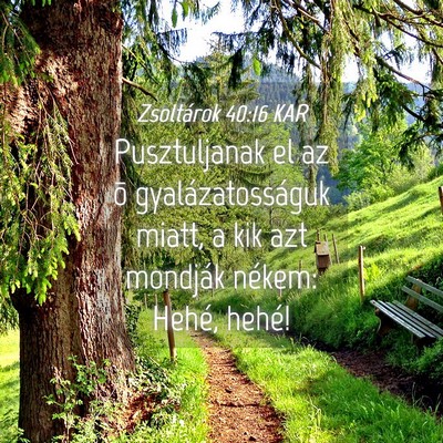 Picture 04 - Zsoltárok 40:16 KAR - Pusztuljanak el az õ gyalázatosságuk miatt, a - Bible Verse Picture