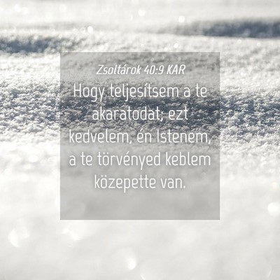 Picture 04 - Zsoltárok 40:9 KAR - Hogy teljesítsem a te akaratodat; ezt kedvelem, - Bible Verse Picture