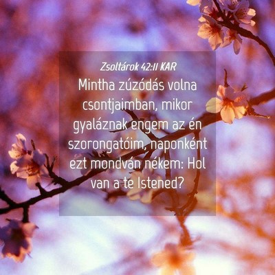 Picture 04 - Zsoltárok 42:11 KAR - Mintha zúzódás volna csontjaimban, mikor - Bible Verse Picture