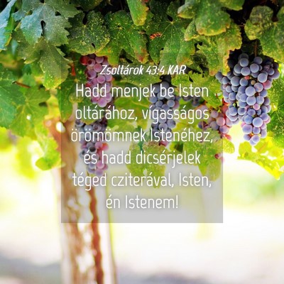Picture 04 - Zsoltárok 43:4 KAR - Hadd menjek be Isten oltárához, vígasságos - Bible Verse Picture
