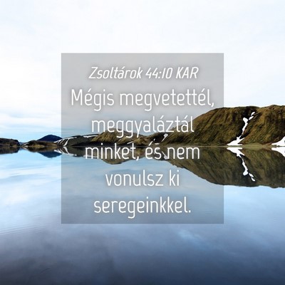 Picture 04 - Zsoltárok 44:10 KAR - Mégis megvetettél, meggyaláztál minket, és - Bible Verse Picture