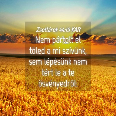 Picture 04 - Zsoltárok 44:19 KAR - Nem pártolt el tõled a mi szívünk, sem - Bible Verse Picture