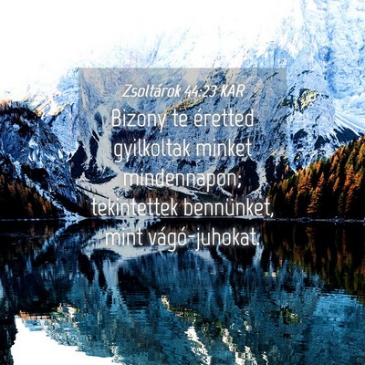 Picture 04 - Zsoltárok 44:23 KAR - Bizony te éretted gyilkoltak minket mindennapon; - Bible Verse Picture