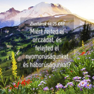 Picture 04 - Zsoltárok 44:25 KAR - Miért rejted el orczádat, és felejted el - Bible Verse Picture