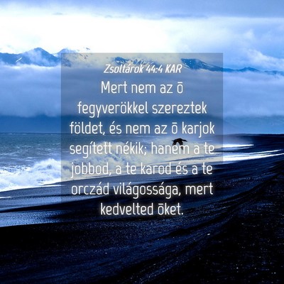 Picture 04 - Zsoltárok 44:4 KAR - Mert nem az õ fegyverökkel szereztek földet, - Bible Verse Picture