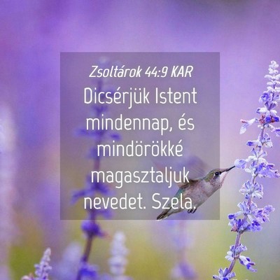 Picture 04 - Zsoltárok 44:9 KAR - Dicsérjük Istent mindennap, és mindörökké - Bible Verse Picture