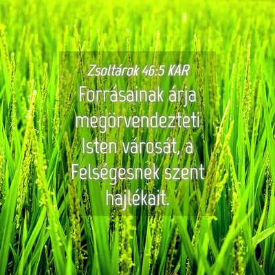 Picture 04 - Zsoltárok 46:5 KAR - Forrásainak árja megörvendezteti Isten - Bible Verse Picture