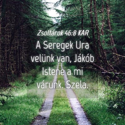 Picture 04 - Zsoltárok 46:8 KAR - A Seregek Ura velünk van, Jákób Istene a mi - Bible Verse Picture