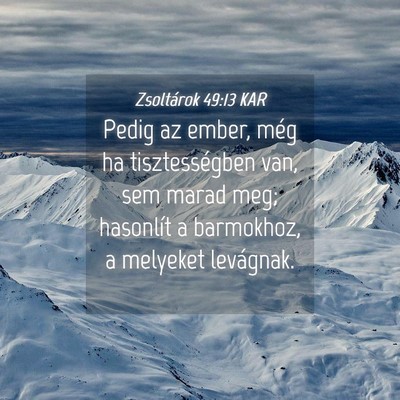 Picture 04 - Zsoltárok 49:13 KAR - Pedig az ember, még ha tisztességben van, sem - Bible Verse Picture