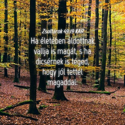 Picture 04 - Zsoltárok 49:19 KAR - Ha életében áldottnak vallja is magát, s ha - Bible Verse Picture