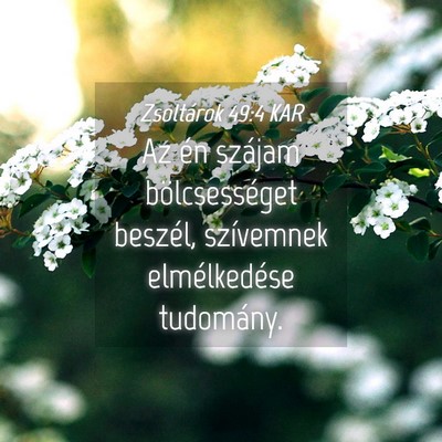 Picture 04 - Zsoltárok 49:4 KAR - Az én szájam bölcsességet beszél, szívemnek - Bible Verse Picture