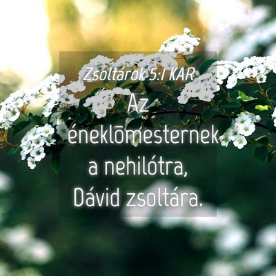 Picture 04 - Zsoltárok 5:1 KAR - Az éneklõmesternek a nehilótra, Dávid - Bible Verse Picture